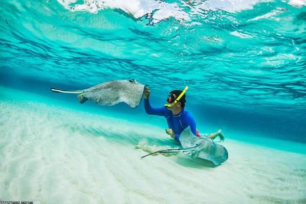 济南中考体育项目最新(图1)